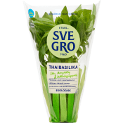Thaibasilika i kruka Ekologisk 1-p KRAV Svegro.