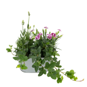 Arrangemang Zink Ute 14cm.