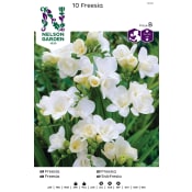 Vårlök Freesia Dubbel Vit 1st Nelson Garden.