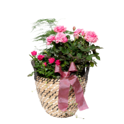Stor Korg med rosa rosor 17cm.