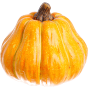 Pumpa 11 x 8 cm, gul terracotta Festive.