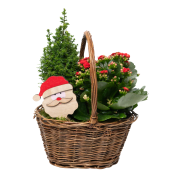 Grepkorg Tomte.