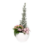 Gran med Snö Rosa.