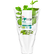 Mynta Ekologisk 1-p KRAV Klass 1 ICA I love eco.