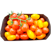 Tomater Sommaryra 500g Vikentomater.