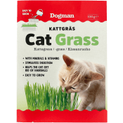 Kattgräs 100g Dogman.