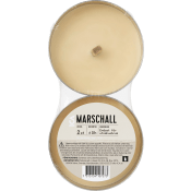 Marschall silver 2p ICA.