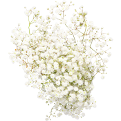 Brudslöja 3-p 50cm vit.