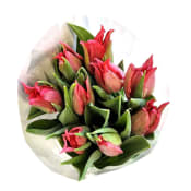 Tulpaner 9 pack i rosa toner.