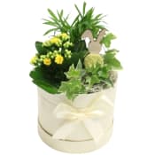 Arr Påsk Box 15cm x6.