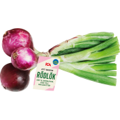 Lök röd knippe Klass 1.
