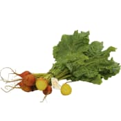 Gulbeta Knippe 500g Klass 1 ICA.