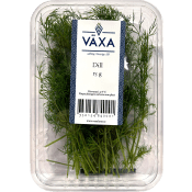 Dill Färsk 15g Växa odling i Sverige.