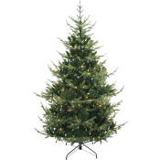 Gran 210cm m belysning 240 LED Festive.