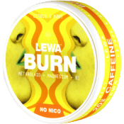 Koffeinsnus Citrus & Mint 18påsar LEWA.