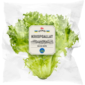 Krispsallat 150 Gram Klass 1 ICA.