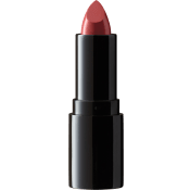 Lipstick Perfect Moisture Cinnabar 228 4g IsaDora.