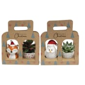 Julgrupp Vinter set mix 6cm x7.