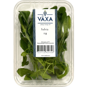Salvia Färsk 15g Växa odling i Sverige.