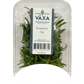Rosmarin Färsk 15g Växa odling i Sverige.