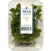 Oregano Färsk 15g Växa odling i Sverige.