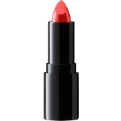 Lipstick Perfect Moisture 005 4 Gram IsaDora.
