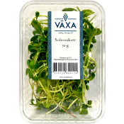 Solrosskott 50g Växa.