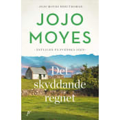 Det skyddande regnet - Moyes.