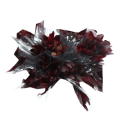 Leucadendron 3 pack 50 cm.