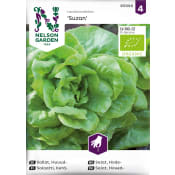 Sallat, Huvud, Suzan, Organic Nelosn Garden.
