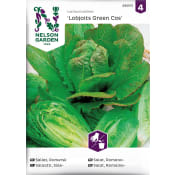 Sallat, Romersk-, Lobjoits Green Nelson Garden.