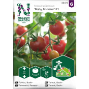 Tomat, Busk-, Baby Boomer F1 Nelson Garden.