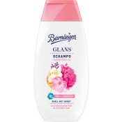 Schampo Glans 250ml Barnängen.