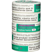ZYN Cactus Spice Slim S4 5xStock.