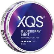 XQS Blueberry Mint Strong 10g.
