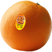 Apelsin Jumbo ca 420g Klass 1 ICA Selection.