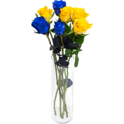 Rosor 7-p 50cm gul-blå.