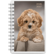 Kalender 26/27 Compact Pets.