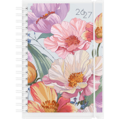 Kalender 26/27 Senator A6 4i1.