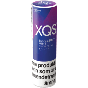 XQS Blueberry Mint Strong 8mg Stock.