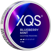 XQS Blueberry Mint Light 4mg 10g.