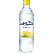Kolsyrat vatten Citrus 50cl Ramlösa.
