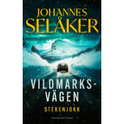 Stekenjokk.