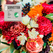 Servett 33cm Aster 20-p ICA.