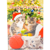 Julkalender Choklad Hund och Katt 75g Wawi.