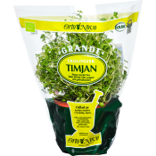 Timjan Grande Eko Klass 1.