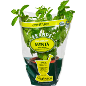 Mynta Grande Eko Klass 1.