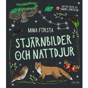 Mina första stjärnbilder och nattdjur.