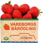 Jordgubbar Svenska 500g Vareborgs Bärodling.