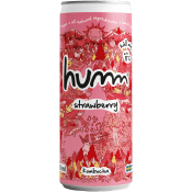 Kombucha Jordgubb 0.5% 330ml Humm.